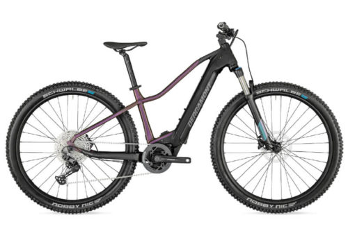 E-Bike Bergamont E-Revox Expert FMN 2021