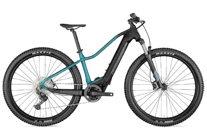 E-Bike Bergamont E-Revox Sport FMN 2021