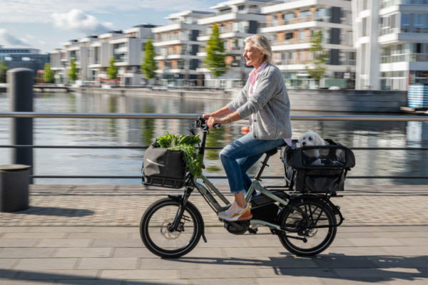 Dog Roof Mini für E-Cargobikes HSD und GSD von Tern