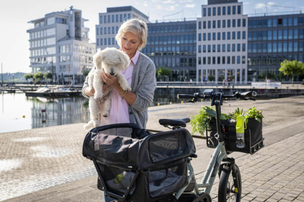 Doghouse Mini für E-Cargobikes HSD und GSD von Tern