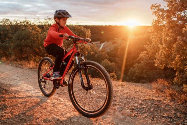 Posible aplicación 2: Bicicleta eléctrica para niños