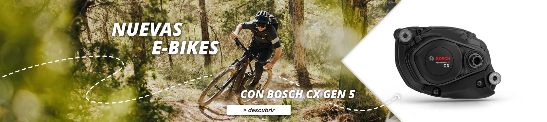 Novedades Bosch 2025